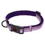 HALTI Collar, Size Small, Purple, Best Comfy Dog Collar, Premium Puppy Collar, Nylon, Neoprene-Padded, Reflective, Easy to Fit & Use, For Small, Medium & Large Dogs