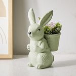 Home Centre Gloria Ceramic Rabbit Back Planter