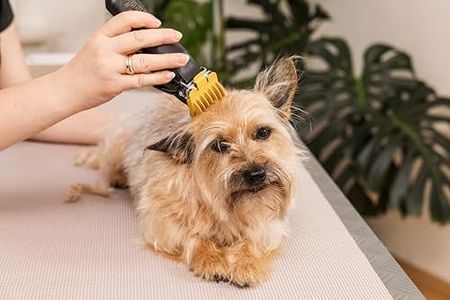 WAHL Colour Pro Pet Clipper – Black Grooming Tool