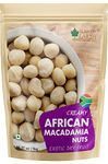 Bliss Of Earth Healthy Macadamia Nuts 1 kg, Super Nut For Bone And Gut Health