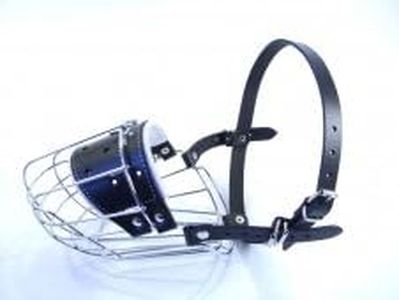 Champion N