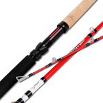 Fiblink Catfish Fishing Rods 9' Catfish Pole 2 Piece Portable Travel Cat Catfishing Casting Rod Extra Heavy Catfish Rod with Cork Handle