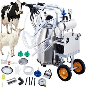 Cow Milkin