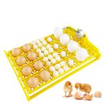 Multi-function Incubator Egg Tray 24 Plastic Automatic Egg Turning Tray With 220V Auto Turn Motor