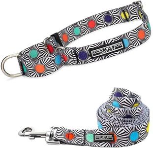 Lucky Love Dog Martingale Collar and Leash Set for Large Dogs – SOCO, Large