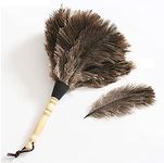 Ostrich Feather Duster, Household Dust Removal Tool with Wooden Handle, Quality Genuine Ostrich Feather Duster. (short (12.6 inch))