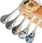 Raelitego 5pcs Asian Soup Spoon, Ce