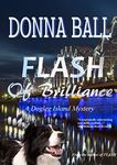 Flash of Brilliance (Dogleg Island Mystery Book 3)