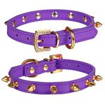 LOVPE One Row Golden Spiked Studded Leather Dog Collar/Cat Collar with Golden Rhinestone Buckle for Small Dog/Cat Puppy Kitty (S(Neck for:11-13 Inch), Purple)