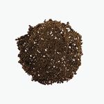 HOLLANDBASICS Premium Sphagnum PEAT Moss Professional Mix for HIGH Porosity with 30% Perlite, MYCORRHIZAE, Balanced PH - 10 litres