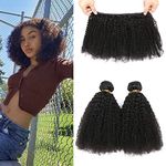 Curly Human Hair Bundles Virgin Brazilian Curly Hair 2 Bundles 8 10 Inch 100% Unprocessed Human Hair 2 Bundles for Black Women Short Curly Weave