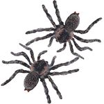 Lanfly 2pcs Halloween Plastic Spiders Figures,Realistic Scary Spiders,Joke Presents Fake Spiders Scary Simulation Animal Model Prank Spiders Toy for Kids Game Halloween Party Garden Home Decoration