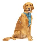 Kurgo Ink Blue Large Dog Harness - Crash Tested, All-Steel, Comfortable & Adjustable Animal Harness with Seat Belt Tether for Car Safety