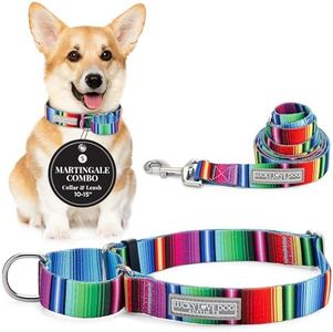 Lucky Love Dog Martingale Collar and Leash Set, Premium No Slip Collar and Leash Set, Colorful Striped Martingale Dog Collar, Great for Whippets, Greyhounds, and More (Small, Nacho - Combo)