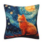 DILOXNSU Cat Gifts Cushion Covers Orange Cat Oil painting Night Sky Velvet Square Double Sided Printing Decorative Pillows Cover for Sofa Bed Home Garden Cushions Covers 45 x 45 cm 18 x 18 inch