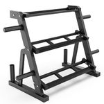 Synergee 2-Tier Dumbbell Storage Rack with 3rd Tier for Kettlebell Storage, 2 Barbell Holders, and 4 Weight Plate Pegs – Accommodates 1" and 2" Plates – All-in-One Home Gym Equipment Organizer.