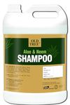 Old Tree Neem & Aloe Vera Hair Shampoo 5L for Hotel Rooms, Hospital, Guest House - Refill Shampoo Kit for Silky and Shiny Hair