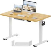 FlexiSpot E1 Plus ONE PIECE Electri