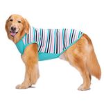 KUTKUT Cotton Striped Dog Shirts for Medium/Large Dogs | Breathable Stretchy Fashion Big Dogs Clothes for Beagle, Corgi, Husky, Labarador, Golden Retriver, Samoyed etc (Size: 5XL)