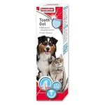 Beaphar | Advanced-Enzyme Toothgel | Dental Care for Dogs & Cats | Non-Brush Alternative | Helps Prevent Bad Breath & Combat Plaque | 100g Tube