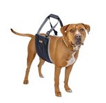 Mighty Paw Dog Lift Harness - Large Size - Comfortable Support for Back Legs - Hind Leg Sling for Bigger Canines - Hip and ACL Brace for Elderly Dogs - Dog Car Harness for Enhanced Safety