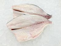 Fresh Pompano Fillet 6 lbs | 12 pcs | All Fresh Seafood |