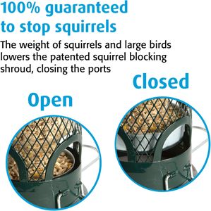 Jacobi Jayne Squirrel Buster Mini Bird Feeder – Squirrel-Proof