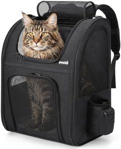 pecute Cat