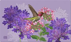 Toland Home Garden 800238 Hummingbird and Flowers Indoor/Outdoor Standard Mat, 18" X 30"