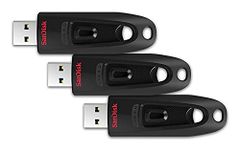 SanDisk Flash Drive Brands