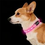 LED Dog Collar for Small Dogs Cats - Fully Waterproof & Adjustable Glow Collar - USB-C Rechargeable for Night Walking, Safety - Flashing Lighted Collar for Dogs(Pink,S)