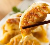 Mopo Tofu Veggie Gyoza Dumplings, 6 Dozen | All Fresh Seafood |