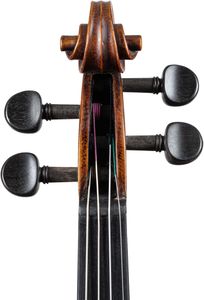 Stentor Verona 4/4 Violin – Full Size Student Instrument