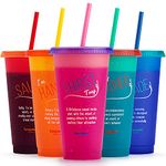 Color Changing Cups with Lids and Straws for Adults - 5 Reusable Tumblers with Lids and Straws in Summer Colors | 24oz Plastic Iced Coffee Cup Set | Durable & Splash-Proof Water Tumbler with Straw
