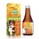 Energy Booster For Dogs