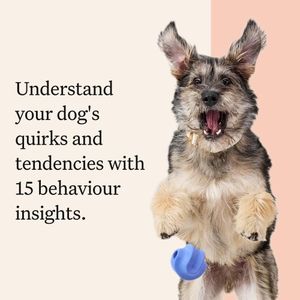 Wisdom Panel Premium Dog DNA Test – Breed & Health Screening Kit