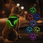 Light Up Dog Harness No Pull Dog Harness Rechargeable Lighted Pet Vest Harness for Night Walking, Reflective Dog Vest Glow Dog Collar, Adjustable Soft Padded Leash, 7 Colors Changing, 3 LED Modes (S)