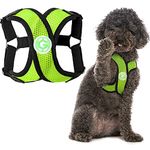 Gooby Comfort X Step-in Harness, Green, X-Large