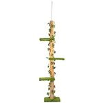 Downtown Pet Supply 4-Level Tall Ca