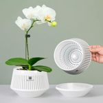 Meshpot 5 inch Orchid Pots with Hol