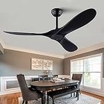 QUTWOB 52" Ceiling Fan with Remote 