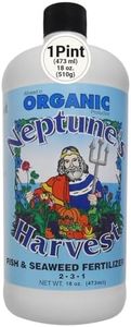 Neptune's 