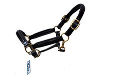 Pets2Care LEATHER HORSE HEAD COLLAR FULLY RAISED AND PADDED BLACK COLOR BRASS FITTING SIZE COB