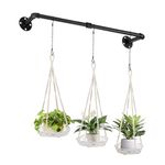 Metal Plant Hanger with 3 Hanging Chains,Hanging Planter Holder for Indoor Plants,Plant Hanging Rod for Wall,Window,Ceiling,36 Inch - Black