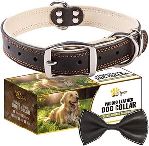 ADITYNA - Heavy-Duty Premium Black Leather Dog Collar for Large Dogs - Perfect for Walking, Training, Hiking, and Running - Padded with Soft Genuine Leather for a Cozy Feel