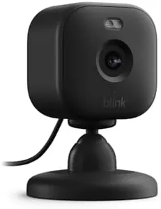 Blink Mini