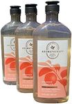 Bath & Body Works Aromatherapy Energy - Orange and Ginger Body Wash & Foam Bath, 10 Fl Oz, 3-Pack