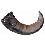 Trixie Genuine Buffalo Chewing Horn for Dogs, Large