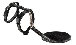 Rogz Catz Sparklecat Lead and Harness, Extra Small, Black