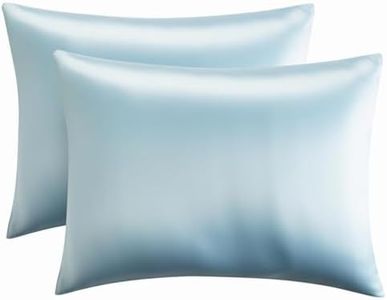 【2 Pack】 Mulberry Satin Silk Pillowcase, H HOME-MART 20"x 30" Satin Silk Pillowcases for Hair and Skin, Queen Size Pillow Case with Envelope Closure (Light Blue)